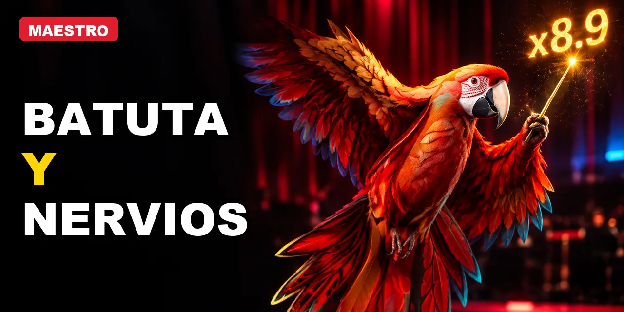 Maestro: los errores que cometí antes de entenderlo bien