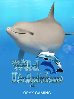 Wild Dolphins, tragamonedas de Oryx Gaming en 1win